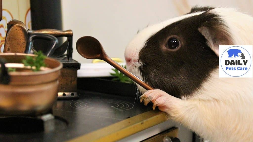 can guinea pigs eat peas?