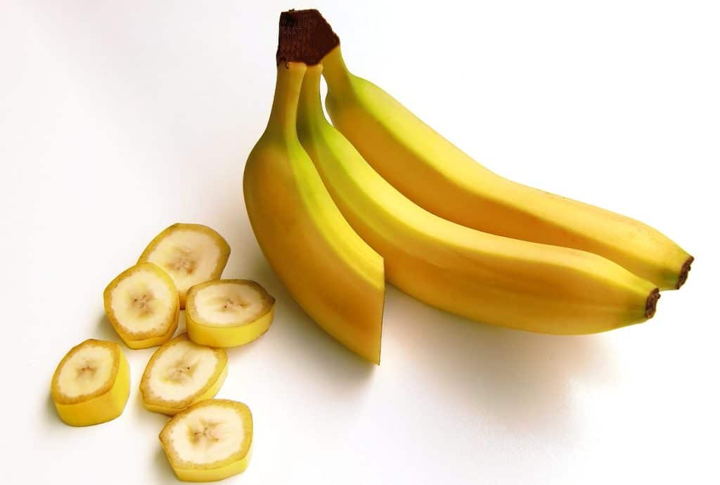 Can Maltese Eat Bananas?