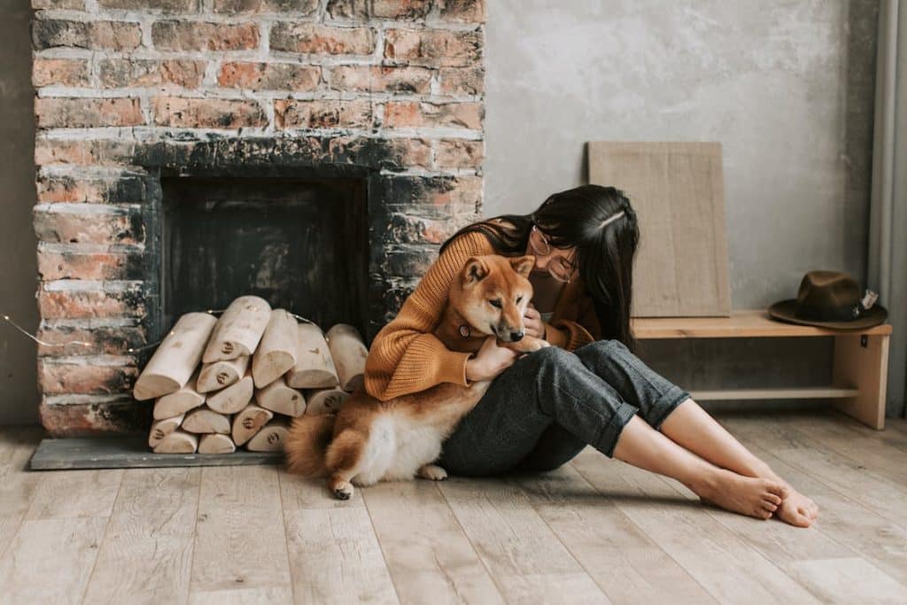 How Long Can a Dog Go Without Water When Sick