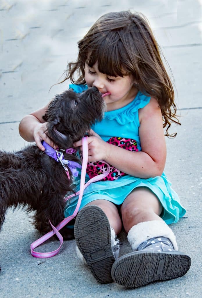 daily pets care home