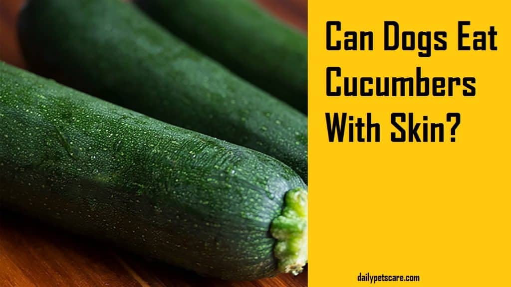 Can dogs eat cucumbers with skin