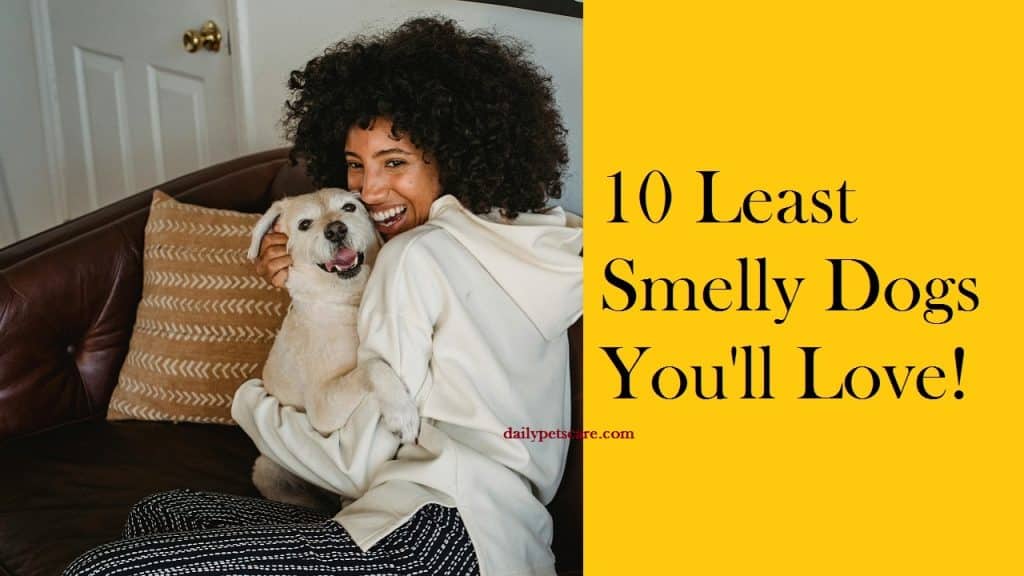 Least Smelly Dogs