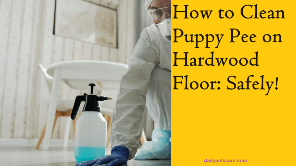 How to Clean Puppy Pee on Hardwood Floor